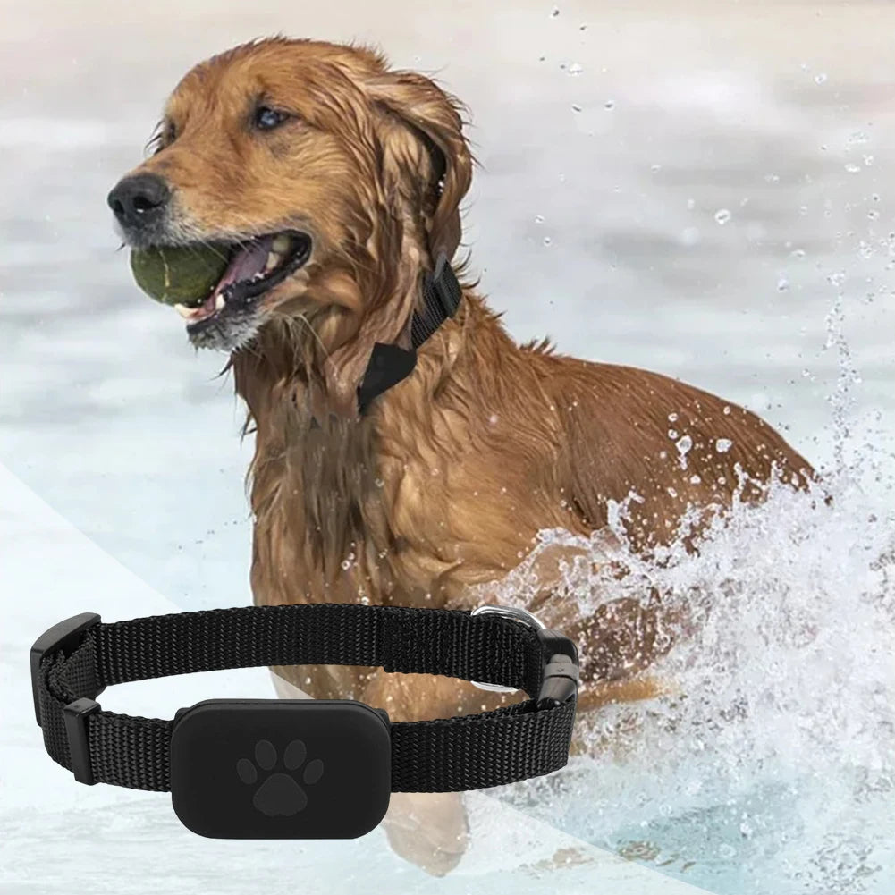 Pet GPS Tracker with Adjustable Collar Cat Locator Smart Pet Locator for Dogs and Cats